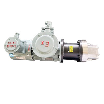 high viscosity pump with magnetic coupling -3-1 high viscosity pump with magnetic coupling -3-1